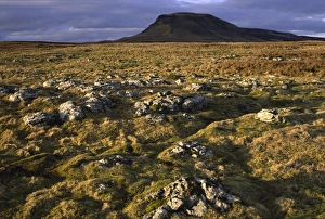 Images Dated 1st January 2000: ENGLAND, Yorkshire, Yorkshire Dales National Park