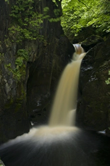 Images Dated 1st January 2000: ENGLAND, Yorkshire, Yorkshire Dales National Park