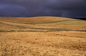 Images Dated 1st January 2000: ENGLAND, Yorkshire, Yorkshire Dales National Park. A shaft of sun illuminates a field