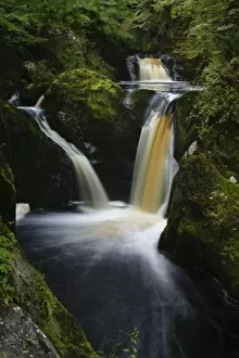 Images Dated 1st January 2000: ENGLAND, Yorkshire, Yorkshire Dales National Park. The fast flowing Pecca twin falls waterfalls running through woodland