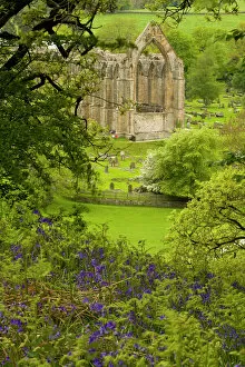 Spring Gallery: England, Yorkshire, Yorkshire Dales National Park
