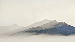 Foggy Collection: Fiordland National Park Oceania adventure atmospheric