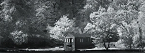 Fine Art Gallery: Forest Boathouse