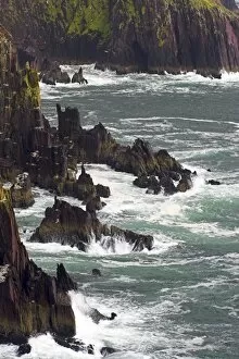Ireland Collection: Ireland County Kerry Dingle Peninsula Waves crash against the sheer cliffs of Dingle Bay in
