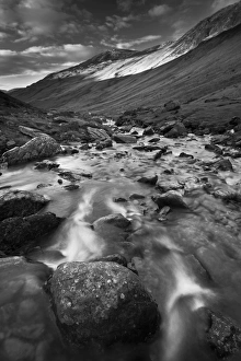 Images Dated 2010: November Collection