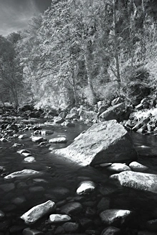 Images Dated 2011: April Collection