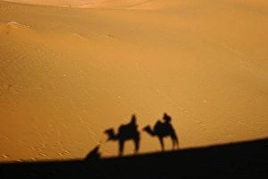 Images Dated 2005 January: 