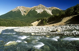 Images Dated 2nd June 2008: NEW ZEALAND, Canterbury, Craigieburn Forest Park