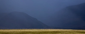 Weather Gallery: New Zealand, Canterbury, Springfield. Snow storm engulfs the mountains of the Canterbury Plains near