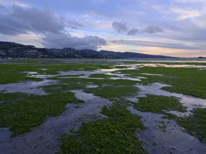 New Zealand, Christchurch, New South Brighton