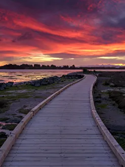 New Zealand, Christchurch, New South Brighton
