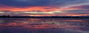New Zealand, Christchurch, New South Brighton
