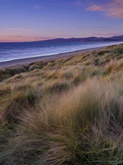 New Zealand, Christchurch, New South Brighton