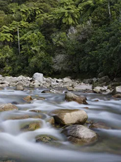 New Zealand, Nelson, Abel Tasman National Park