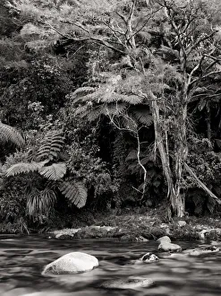 New Zealand Collection: New Zealand, Nelson & Marlborough, Abel Tasman National Park