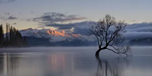 <b class=qtipBold><figcaption>New Zealand, Otago, Lake Wanaka</figcaption></b><br>New Zealand, Otago, Lake Wanaka. Mist rising at dawn on an autumn morning at the Wanaka Tree at Lake Wanaka. New Zealand, Otago, Lake Wanaka