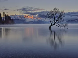 <b class=qtipBold><figcaption>New Zealand, Otago, Lake Wanaka</figcaption></b><br>New Zealand, Otago, Lake Wanaka. Mist rising at dawn on an autumn morning at the Wanaka Tree at Lake Wanaka. New Zealand, Otago, Lake Wanaka