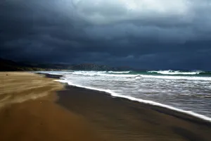 Island Gallery: New Zealand, Southland, The Catlins