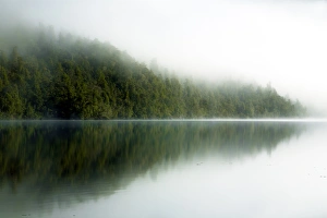 New Zealand, Southland, Fiordland National Park