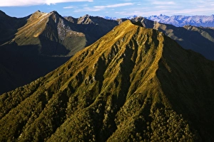 New Zealand, Southland, Fiordland National Park