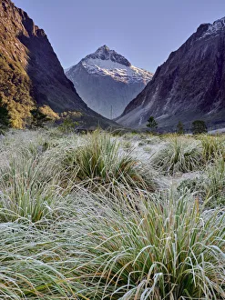 New Zealand Collection: New Zealand, Southland, Fiordland National Park