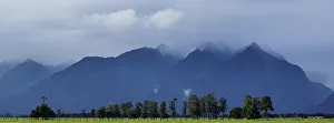 New Zealand Collection: New Zealand, Westland, Westland National Park