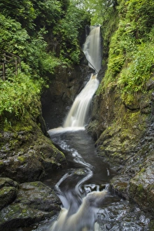 Ireland Collection: Northern Ireland, Country Antrim, Glenariff Forest Park