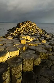 Ireland Collection: Northern Ireland, Country Antrim, Giants Causeway