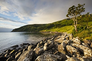 Ireland Collection: Northern Ireland, Country Antrim, Murlough Bay