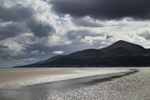 Ireland Collection: Northern Ireland, County Down, Murlough Beach