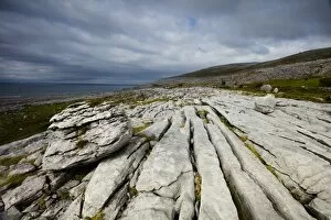 Ireland Collection: Republic of Ireland, County Clare, The Burren at Black Head