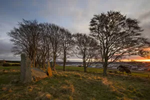 Scotland Gallery: Scotland, Aberdeenshire, Tyrebagger Stone Circle