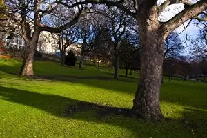 Edinburgh Gallery: Scotland, Edinburgh, Princes Streeet Gardens. Trees and grass lawn in Princes Street Gardens