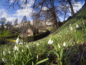 Scotland, Edinburgh, Princes Street Gradens