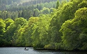 Images Dated 2011 May: Scotland, Perth and Kinross, Pitlochry. Fishing from a boat on Loch Faskally