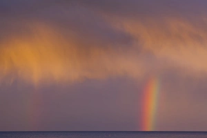 2011jfprints Gallery: Scotland, Scottish Borders, Burnmouth. Rainbow above the north sea, photographed just before sunset