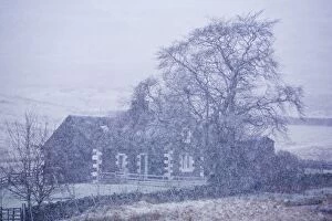 Winter Collection: Scotland, Scottish Borders, Glentude Hill