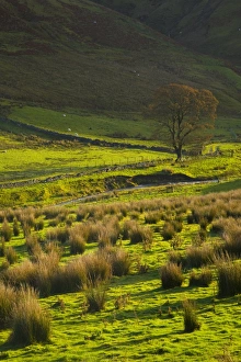 Scotland, Scottish Borders, Liddesdale