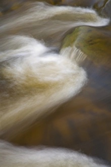 Images Dated 2nd June 2008: Scotland, Scottish Borders, Liddesdale