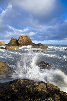 Images Dated 2nd June 2008: Scotland, Scottish Borders, St Abbs