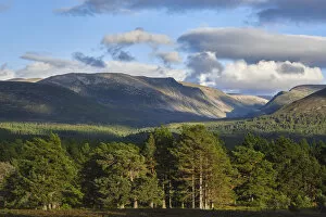 Scotland Collection: Scotland, Scottish Highlands, Cairngorms National Park