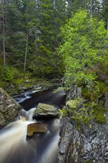 2011 Collection: Scotland, Scottish Highlands, Laggan. Waterfalls on the River Pattack near Loch Laggan