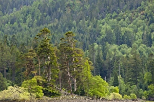 Images Dated 2011 May: 