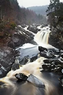 River Gallery: Scotland, Scottish Highlands, Rogie Waterfalls. A cascade of Peat coloured water at Rogie Falls