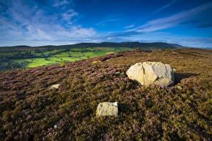 spirit_of_northumberland