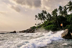 Images Dated 22nd March 2023: Sri Lanka, Matara District, Mirissa