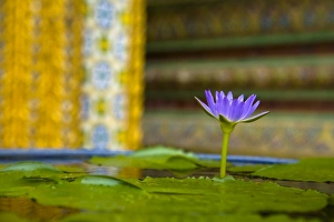 Thailand Gallery: Thailand, Bangkok, The Grand Palace