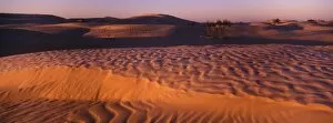 Images Dated 1st January 2000: TUNISIA, Zaafrane, Sahara Desert