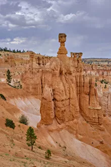 U.S.A Gallery: United States of America, Utah, Bryce Canyon National Park