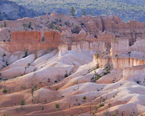 U.S.A Gallery: United States of America, Utah, Bryce Canyon National Park